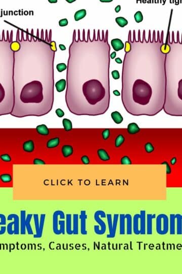 Leaky Gut Syndrome